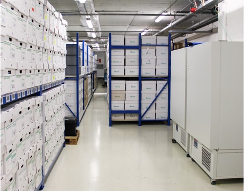 Photo of the inside of the climate chamber that also shows the two ULT freezers
